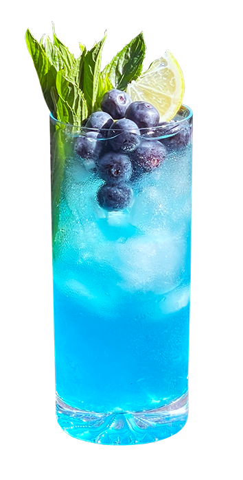 Cocktail in tall glass garnished with fresh blueberries and mint